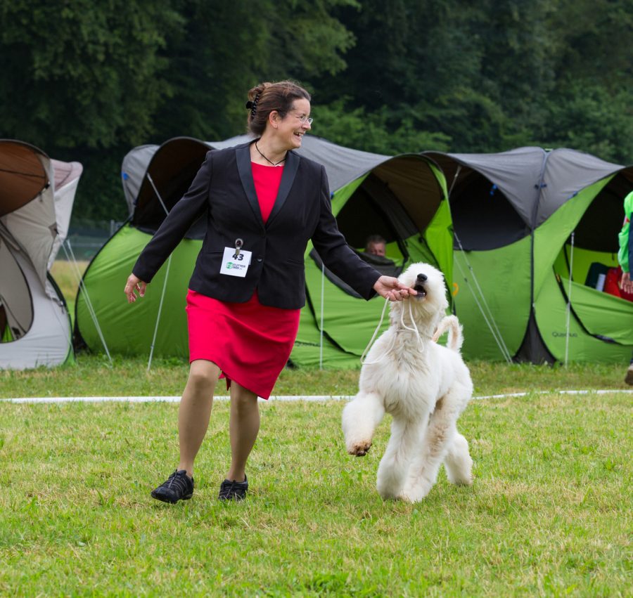Barbara Luchmann mit einem Afghanischen Windhund auf einer Ausstellung