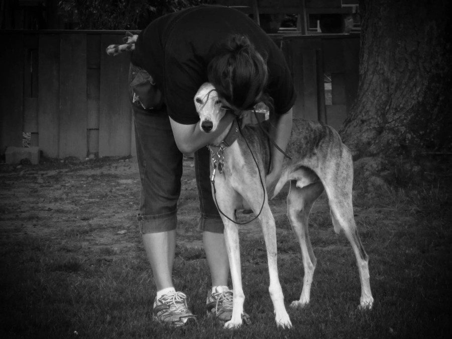 Barbara Luchmann umarmt ihren Hund Luke
