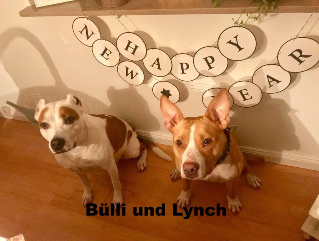 Bülli und Lynch