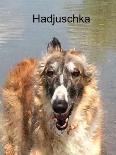 Hadjuschka