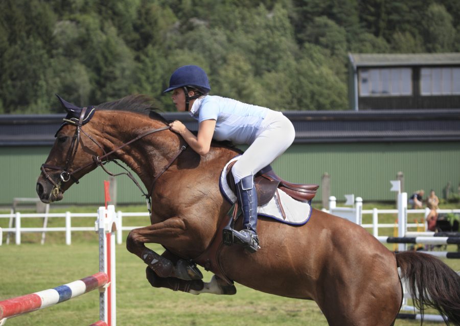 Reiterin und Pferd im Sprung über ein Hindernis
